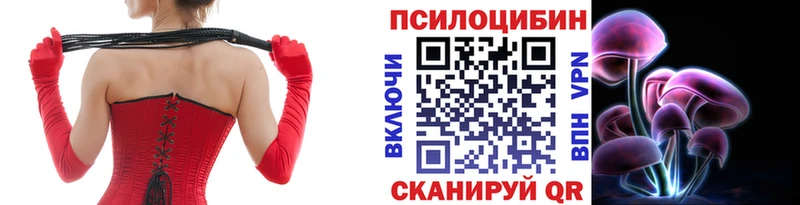 купить   KRAKEN ссылка  Псилоцибиновые грибы Psilocybine cubensis  Строитель 